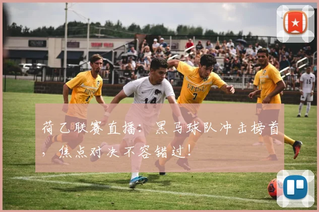 荷乙联赛直播：黑马球队冲击榜首，焦点对决不容错过！