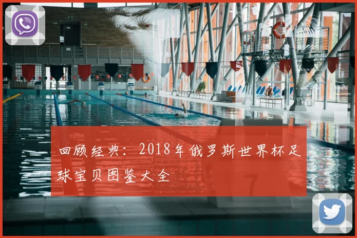 回顾经典：2018年俄罗斯世界杯足球宝贝图鉴大全