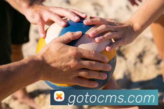 开云手机在线登录官网发展历程